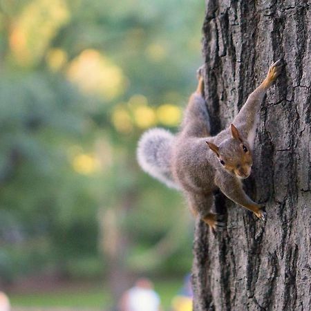 Borov Park 3 Lägenhet Velingrad Exteriör bild