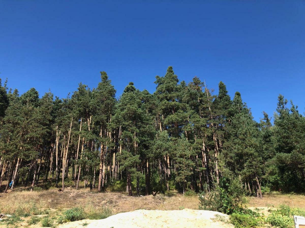 Borov Park 3 Lägenhet Velingrad Exteriör bild