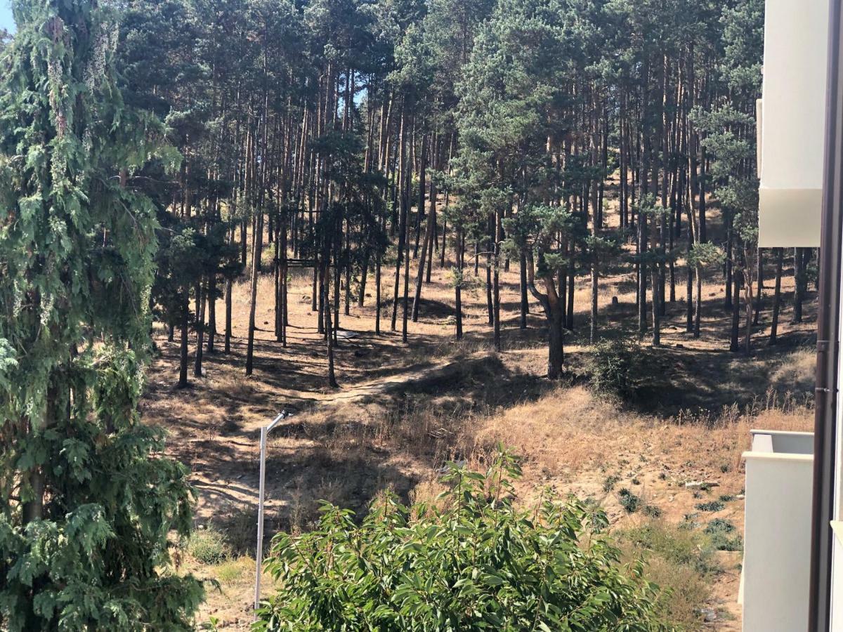 Borov Park 3 Lägenhet Velingrad Exteriör bild